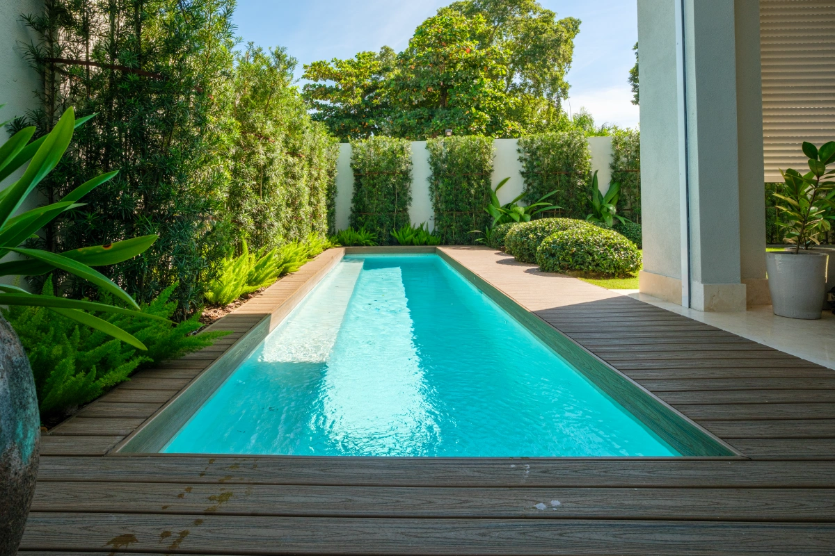 House 6 (5)